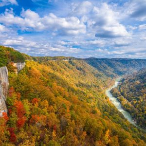 New River Gorge, West Virginia, USA autumn landscape at the Endless Wall.