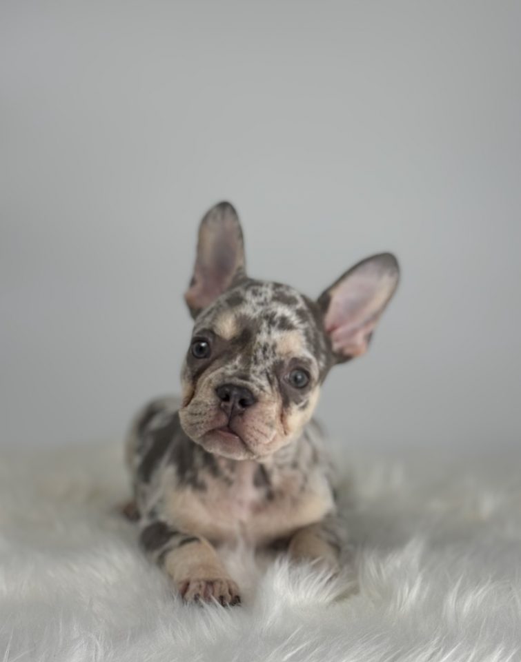 Benson