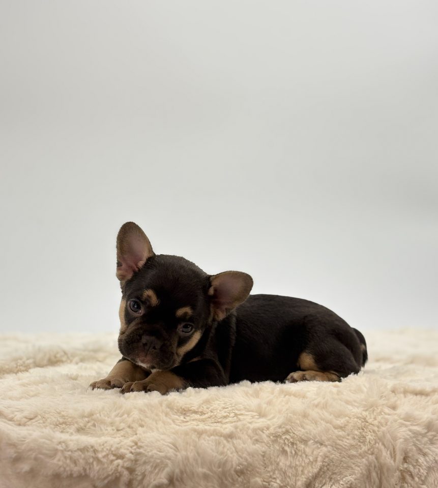 Miles - Image 2