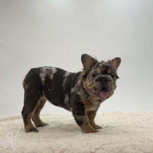 Charlene