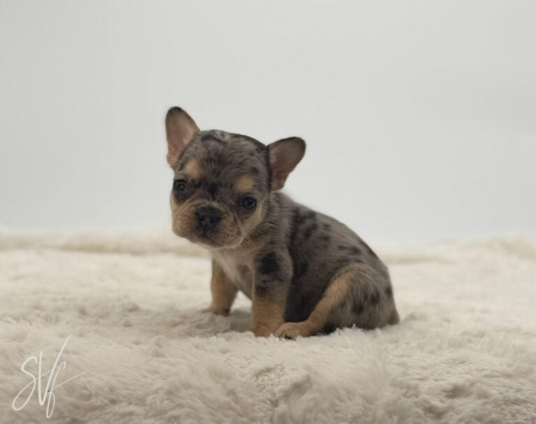 Zoe - Image 2