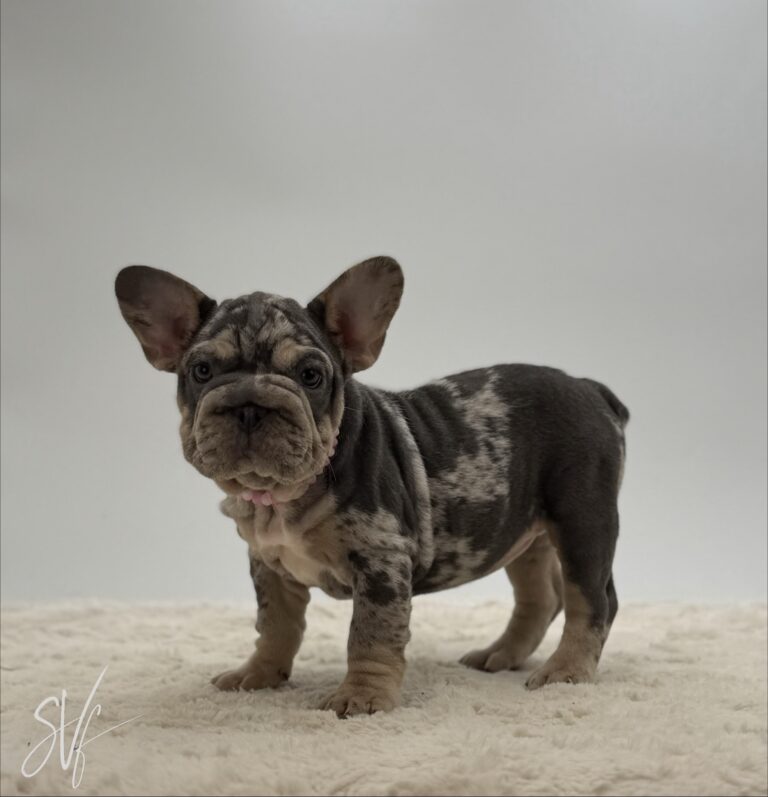 Nora - Image 2