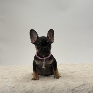 Darlene