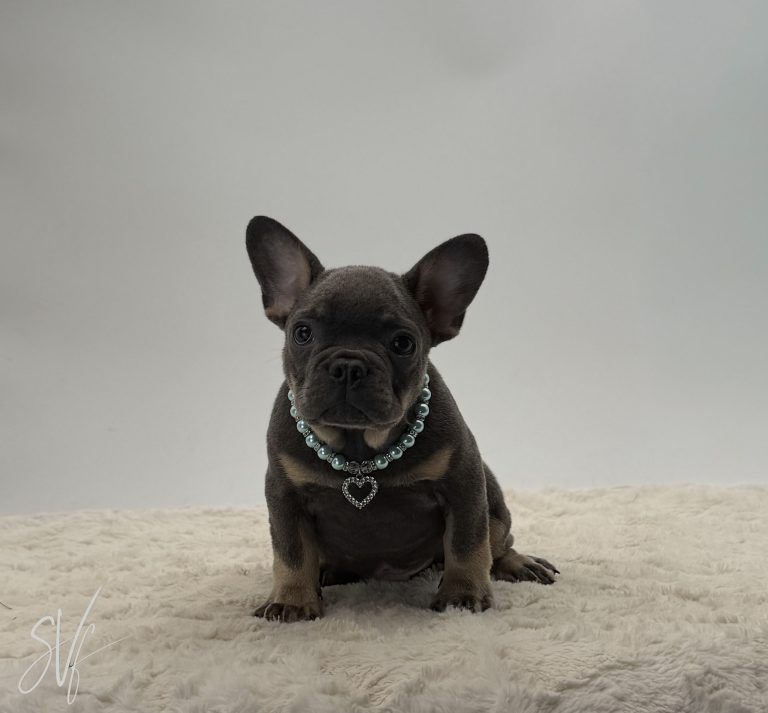 Reuben - Image 2