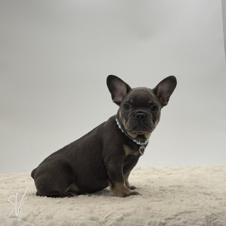 Reuben - Image 4