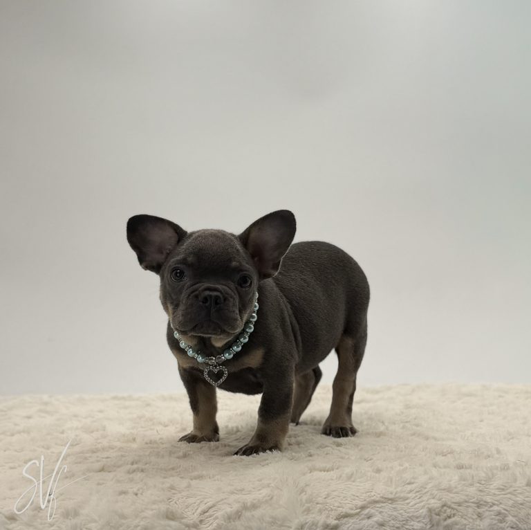 Reuben - Image 3