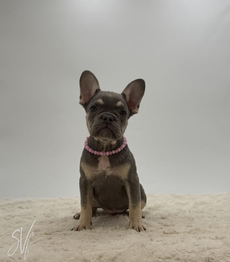 Darlene - Image 4