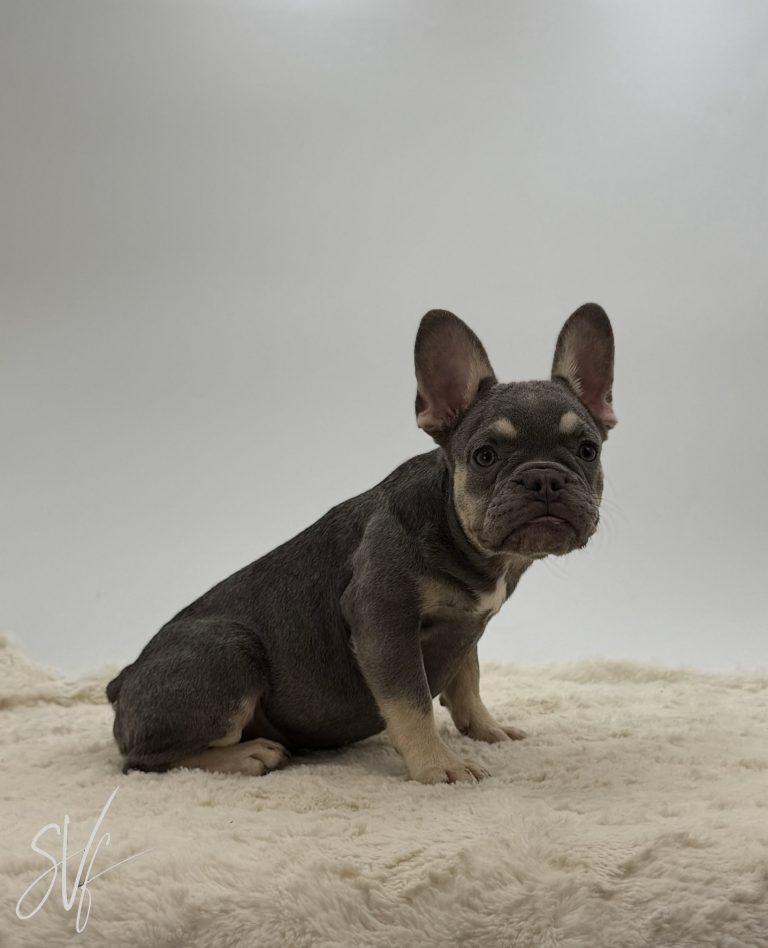 Darlene - Image 2